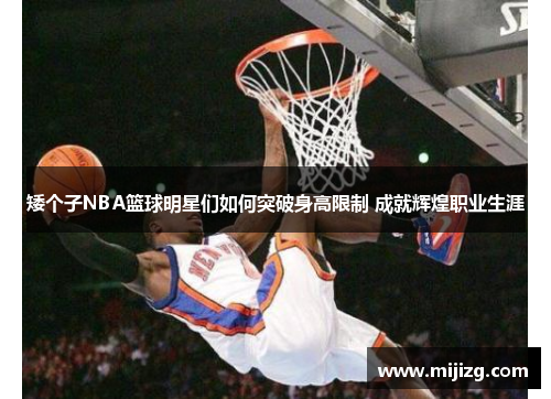 矮个子NBA篮球明星们如何突破身高限制 成就辉煌职业生涯